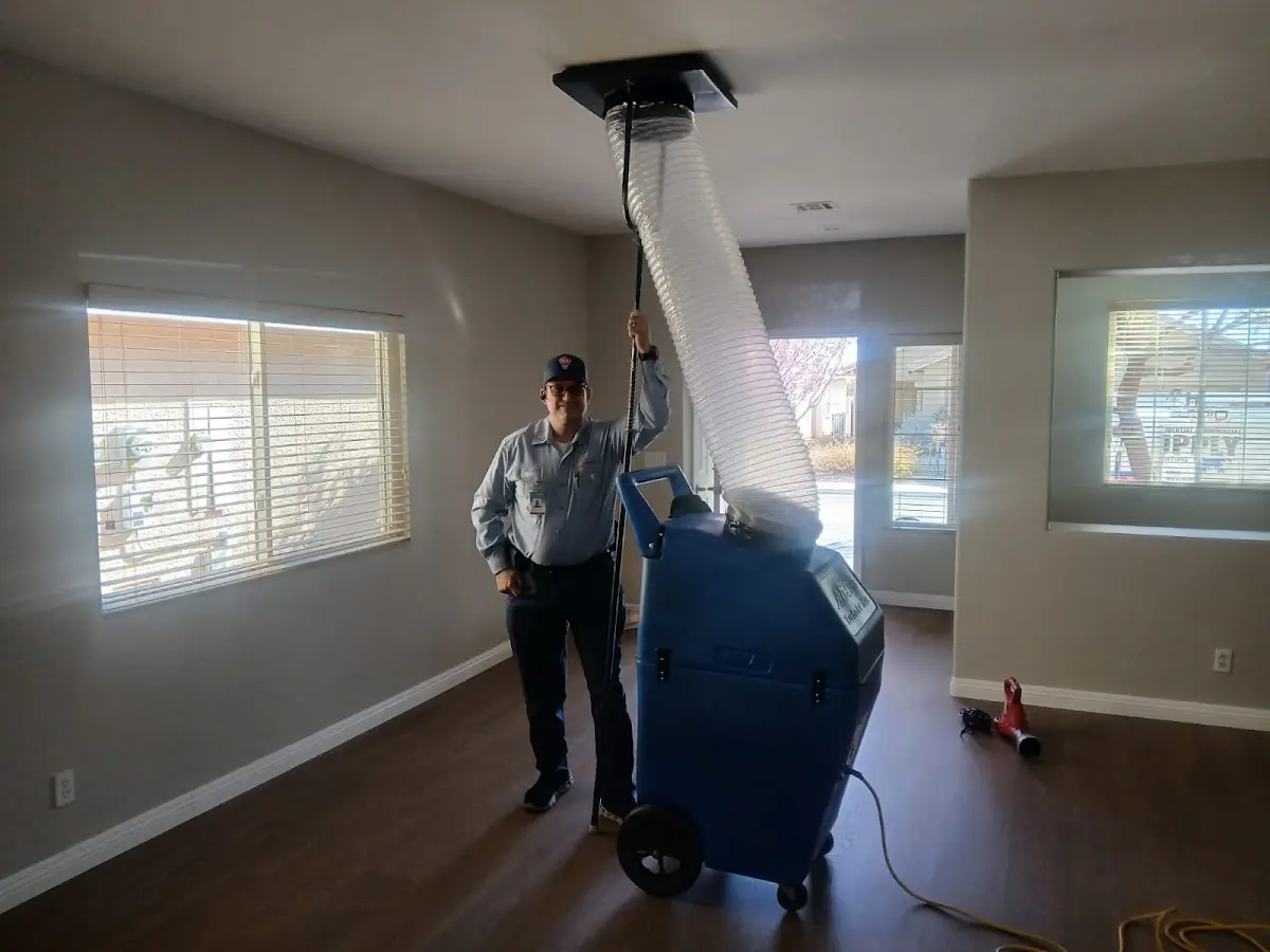Professional Dryer Vent Cleaning work inside a Avondale home